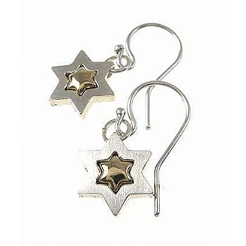 Silver/Gold Star of David Earrings
