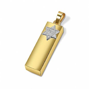 14K Gold Mezuzah Pendant - Zion Star